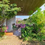 z2433928712267_ef398645b8147c9e4348d20cda8dfd1f