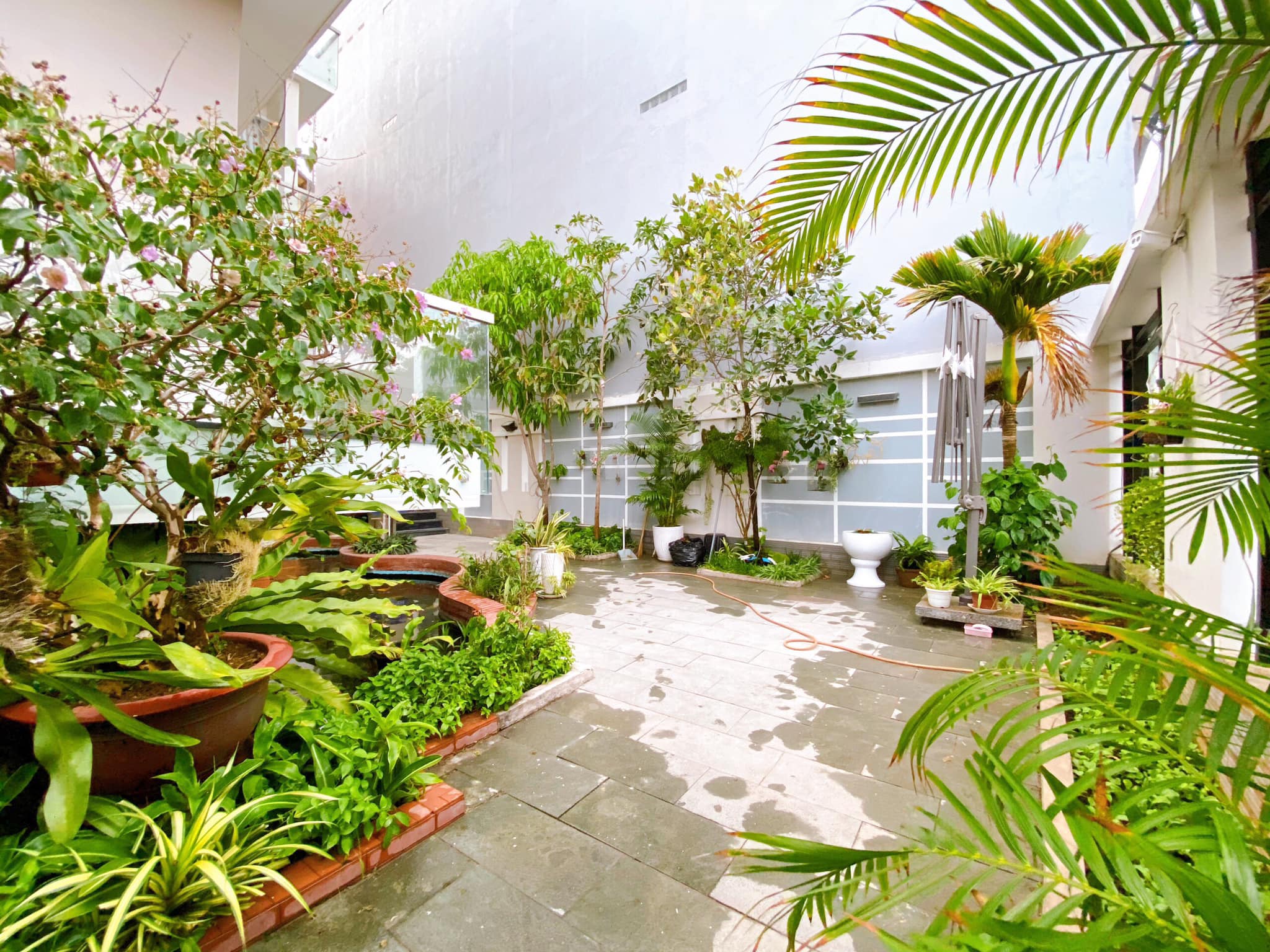 96535615_1913327728811942_2724283505151311872_o