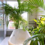 98063366_1913328785478503_6258659256065589248_o