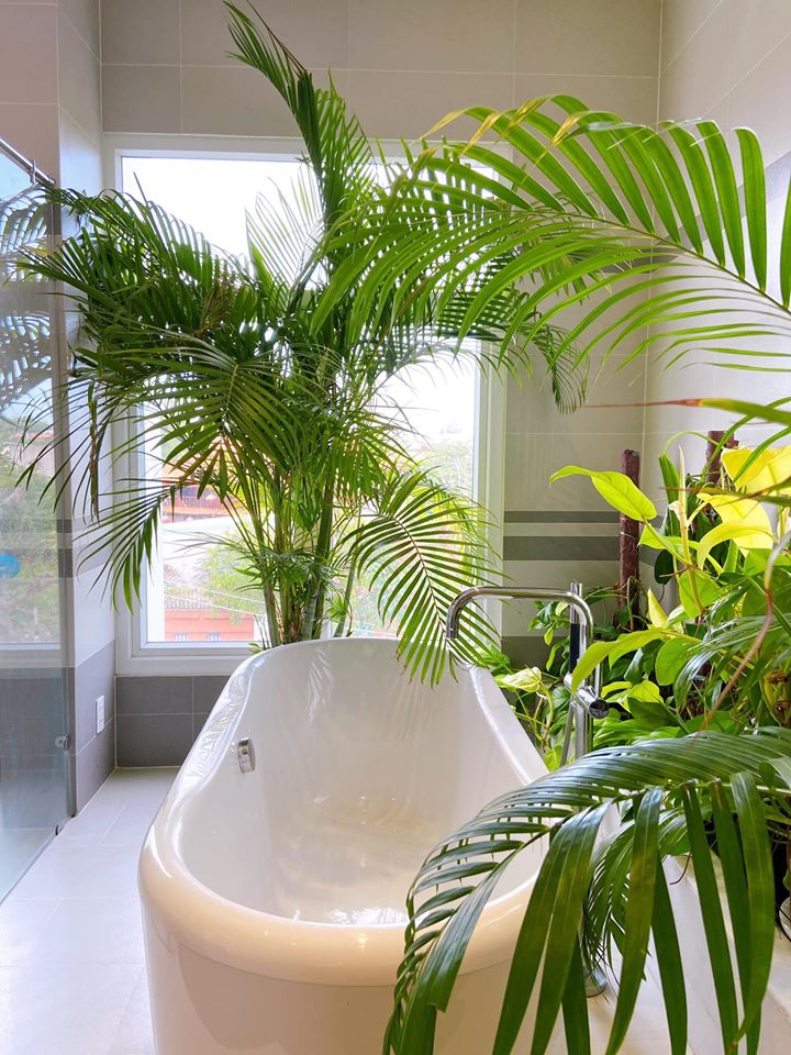 98063366_1913328785478503_6258659256065589248_o